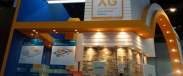 英菲无线(InfiNet Wireless）公司作为参展商参加了2014年迪拜“GITEX科技周”国际展览会
